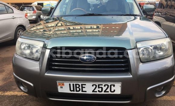 Gura Yakoze Subaru Forester Green Imodoka i Adjumani mu Northern Gura Yakoze Subaru Forester Green Imodoka i Adjumani mu Northern