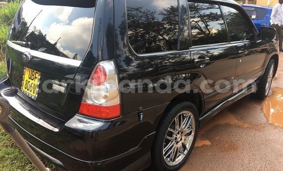 Gura Yakoze Subaru Forester Black Imodoka i Adjumani mu Northern Gura Yakoze Subaru Forester Black Imodoka i Adjumani mu Northern