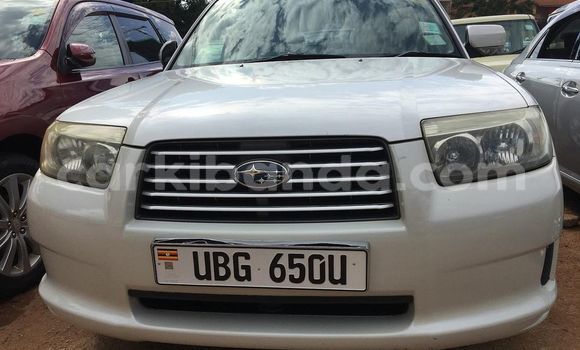 Acheter Occasion Voiture Subaru Forester Blanc à Adjumani, Nord
