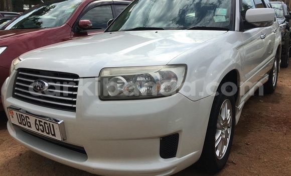 Gura Yakoze Subaru Forester White Imodoka i Adjumani mu Northern Gura Yakoze Subaru Forester White Imodoka i Adjumani mu Northern