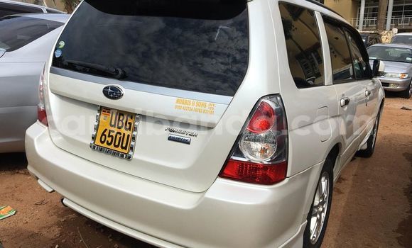 Gura Yakoze Subaru Forester White Imodoka i Adjumani mu Northern Gura Yakoze Subaru Forester White Imodoka i Adjumani mu Northern