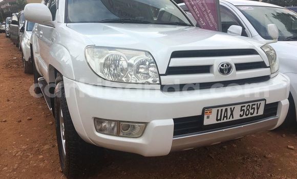 Gura Yakoze Toyota Hilux White Imodoka i Adjumani mu Northern Gura Yakoze Toyota Hilux White Imodoka i Adjumani mu Northern