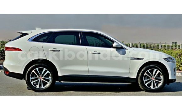 Acheter Import Voiture Jaguar F-Pace Blanc à Import - Dubai, Ouganda Acheter Import Voiture Jaguar F-Pace Blanc à Import - Dubai, Ouganda