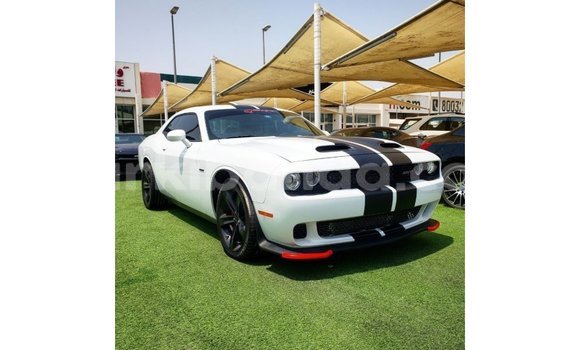 Buy Import Dodge Challenger White Car in Import - Dubai in Uganda