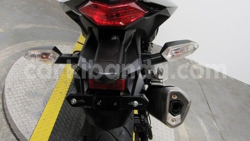 Big with watermark 5