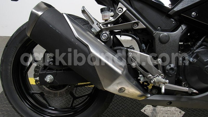 Big with watermark 2