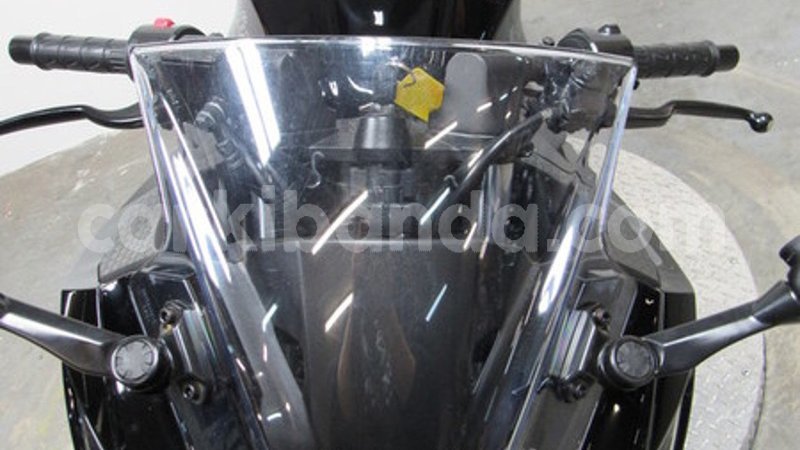 Big with watermark 4