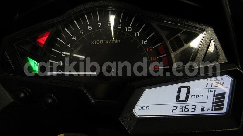 Big with watermark 7