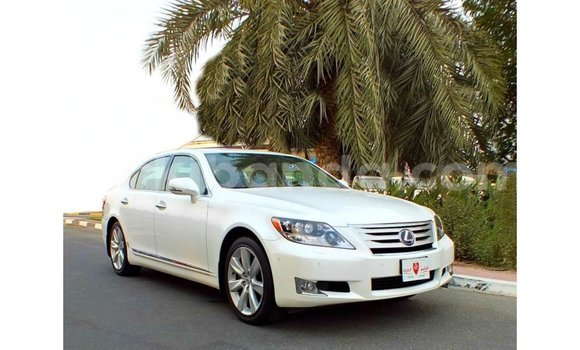 Buy Import Lexus LS White Car in Import - Dubai in Uganda Buy Import Lexus LS White Car in Import - Dubai in Uganda